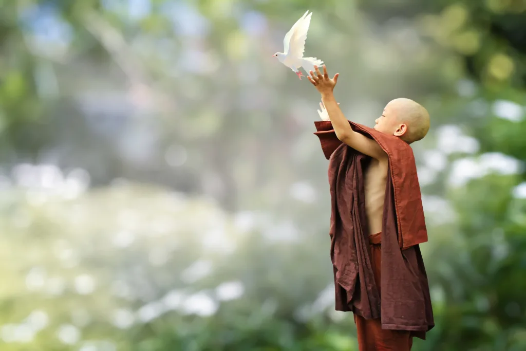 Metta Meditation
